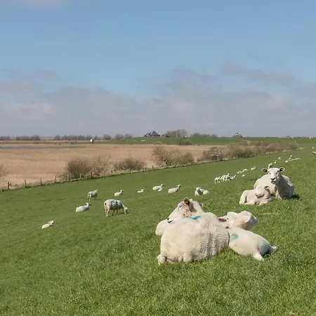 Casa vacanze Kaeptns Hus *