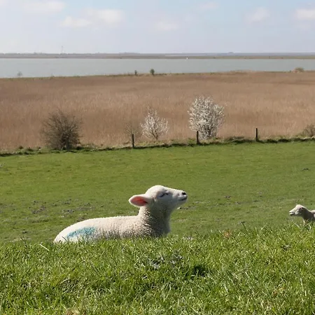 Kaeptns Hus Hattstedtermarsch