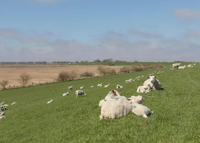Casa vacanze Kaeptns Hus *